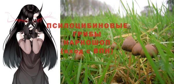 гашик Бронницы