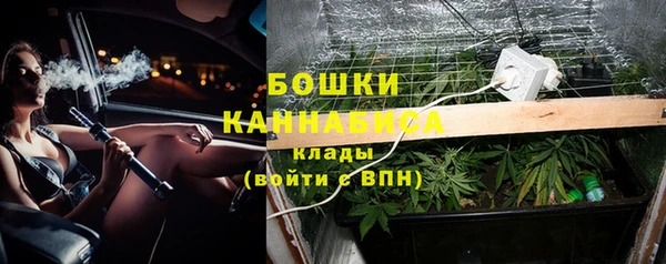 гашик Бронницы