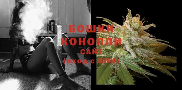 гашик Бронницы