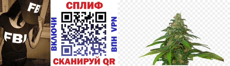 Бошки Шишки White Widow  где найти   Буй 